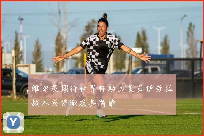 维尔茨期待世界杯助力复苏伊劳拉战术或将激发其潜能
